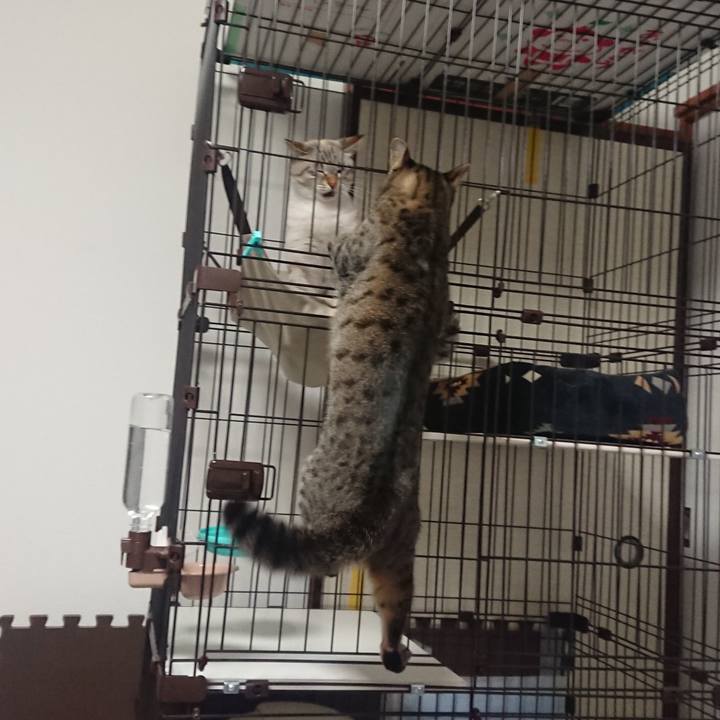 5c39965e 0dbd 47b6 84e9 17a230c86525 1541159457429