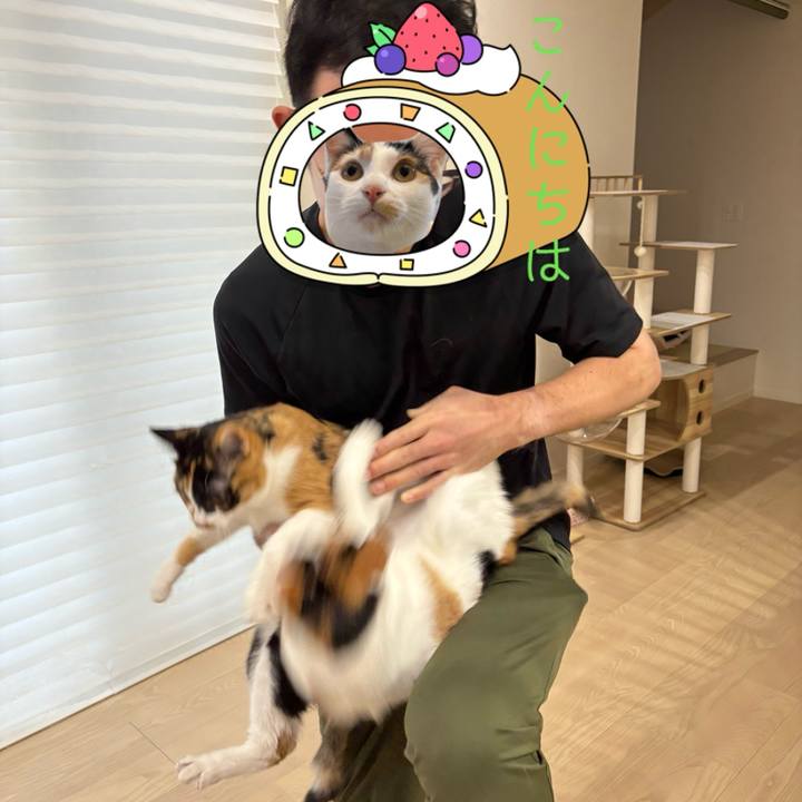 5c39d20f 562b 45fa a591 64ba30427b65 1771137446705