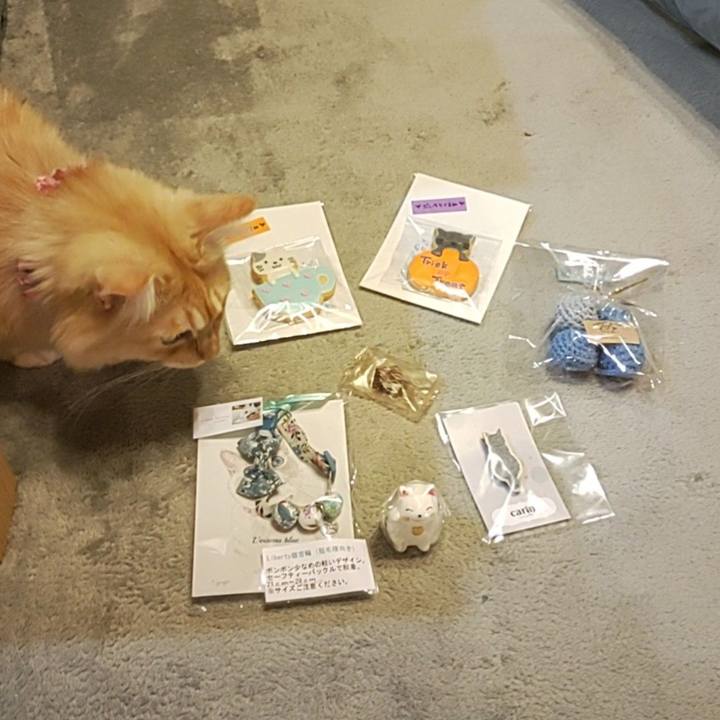 5c39ed81 87a7 4fba 82f0 0bbe54d2f6f5 1664621140542