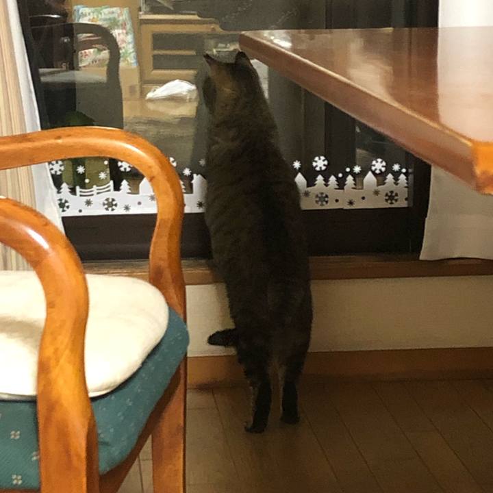 5c39f1ef daf2 4c36 941d e955830287b5 1580988775097