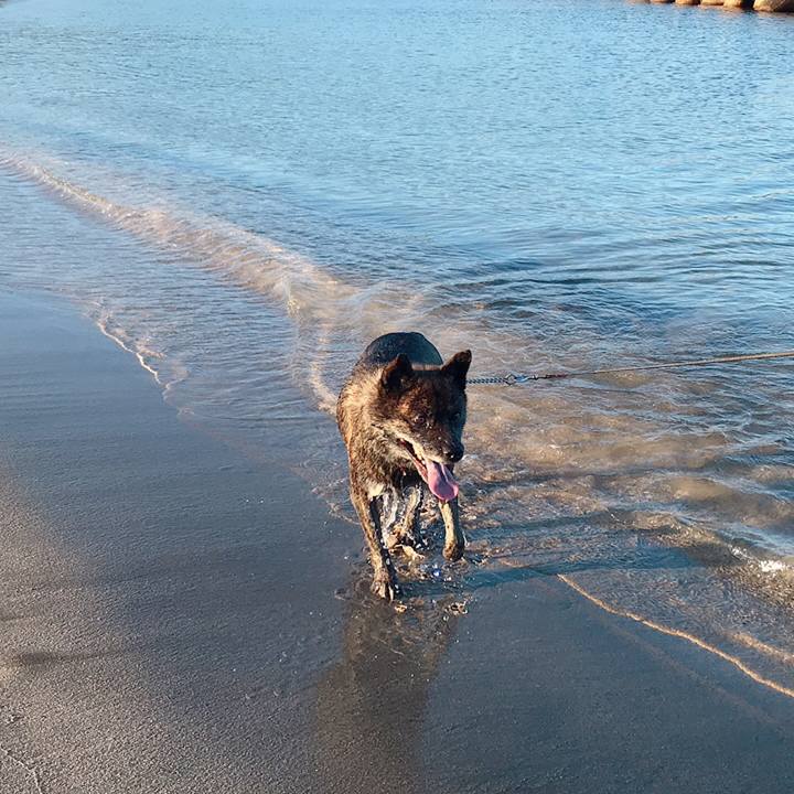 5c3a73dc cd08 4204 a888 c22bd1fb411b 1565734996842