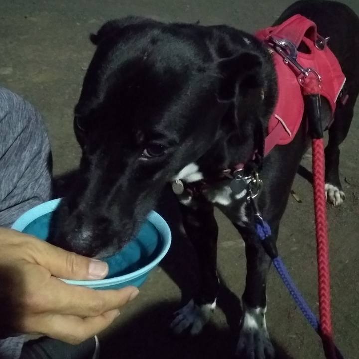 5c3a790c a18c 4203 bdef d35f450abea6 1597748887605