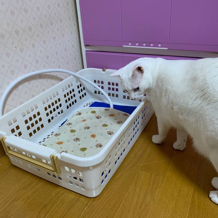 5c3a7a04 c2b9 4f52 8435 d18d445d9d00 1643406928901