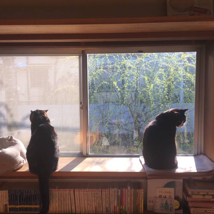 5c3aa0d2 7d6f 4327 abf6 6fabf69b1b4d 1552608966019