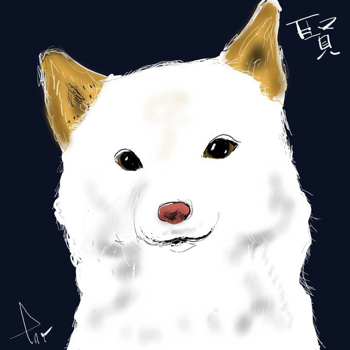 5c3aaed3 1060 4462 a9fd 12b106a219b9 1648865256060