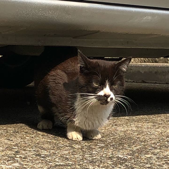 5c3ab8b6 b5fb 4d82 b7d1 52223aebc887 1520751411265