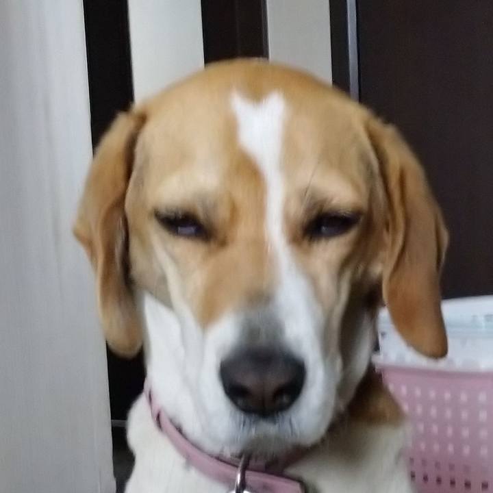 5c3b13e2 4937 4bc4 bdc4 fae3402258ac 1586758086541