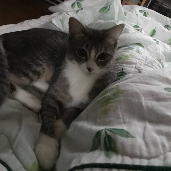 5c3b15d7 8af0 457f b612 3dcdcd2f8bb2 1536625627405