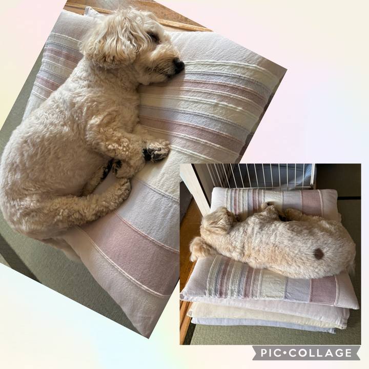 5c3b3db4 9a0e 4923 9407 b7535be6fbb2 1761275464008