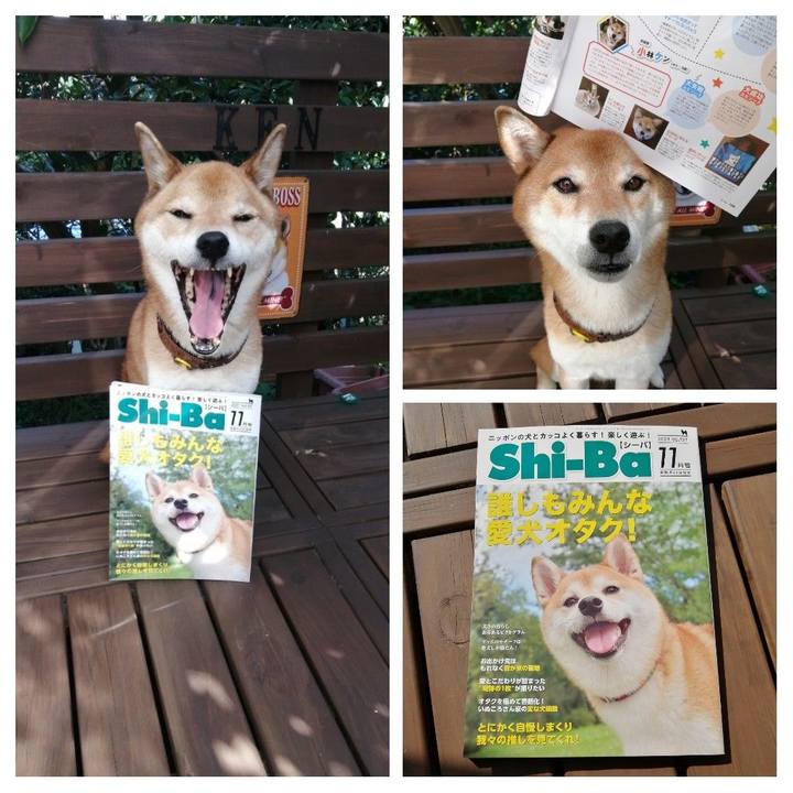 5c3b6e65 cca8 4c27 81c8 fc049a4f75ff 1632893031767