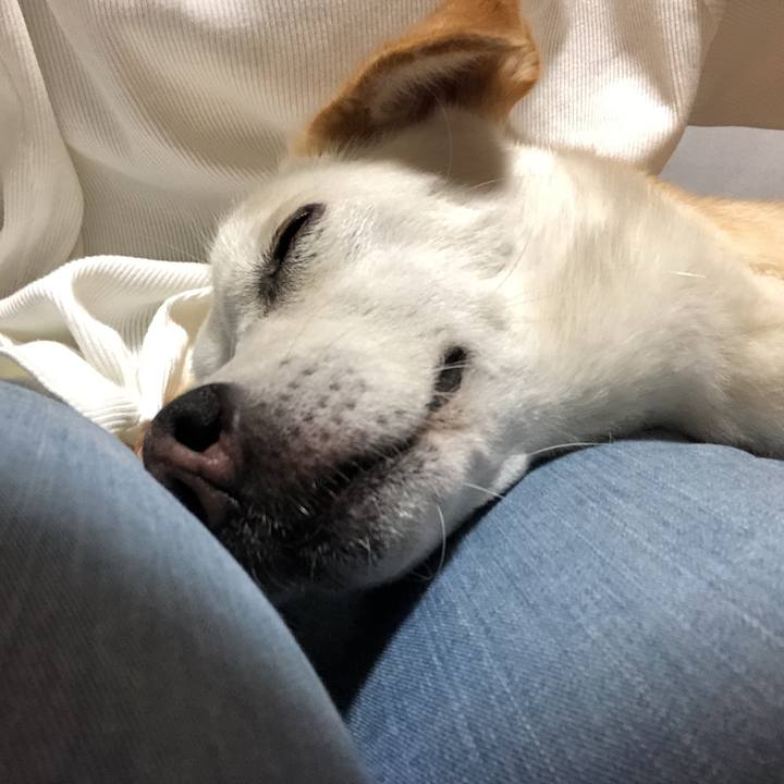 5c3b86e2 03ba 47b2 b4f4 18a41de1698e 1628809095550