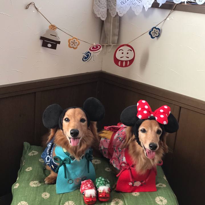 5c3bdc01 4910 4099 a3b2 878ed1160d40 1577883201757