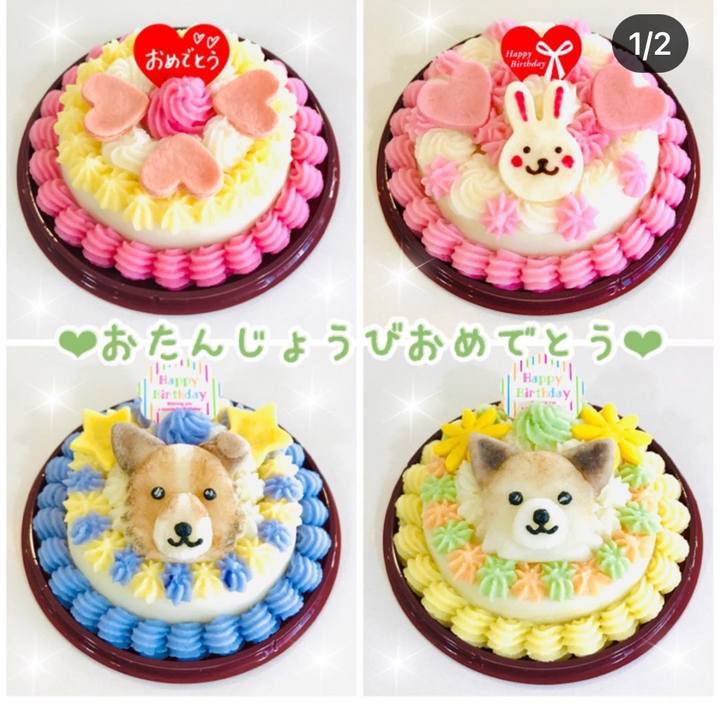 5c3be28c 3ef4 4764 93e8 863187464ea9 1606358304786