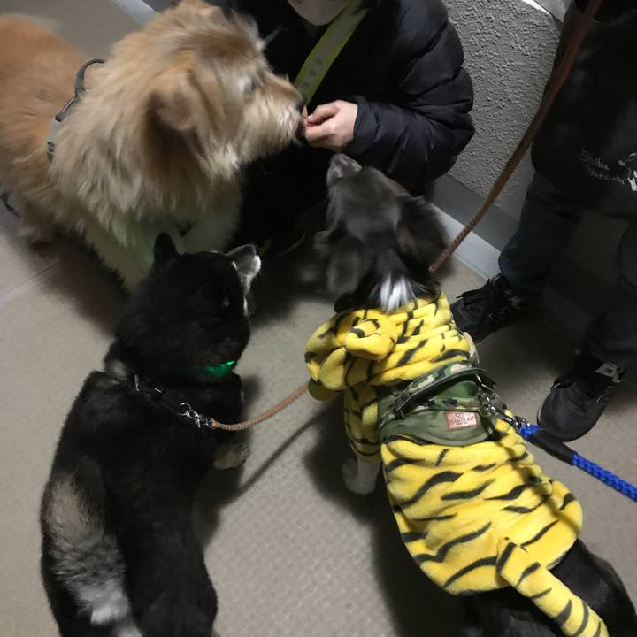 5c3c1d5b 4ea6 4f0b bc96 735b8210e2ae 1641378282563