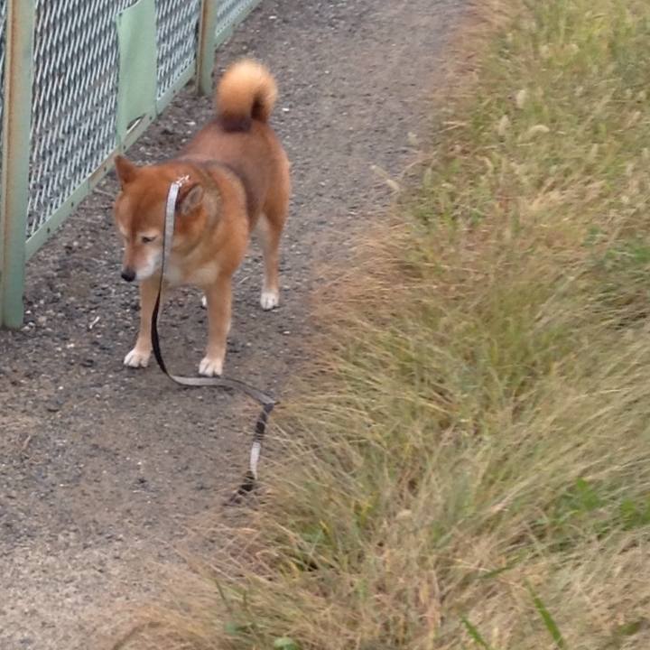 5c3c4782 cb7d 4942 85b8 bcc5ecc64120 1539941950950