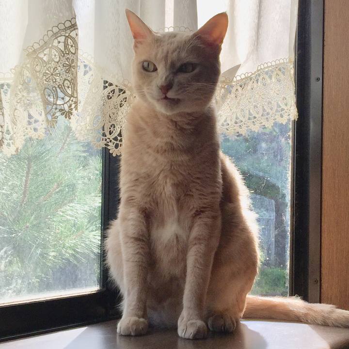 5c3c4a83 f5df 4dbf a3b8 292804cf2554 1537266142214