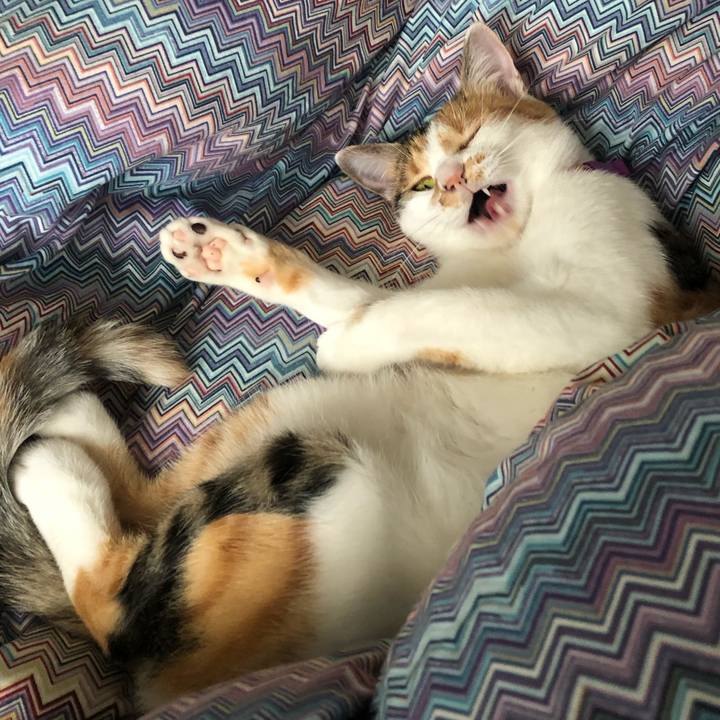 5c3c8234 a0cb 4aff b874 553078973e01 1601186278753