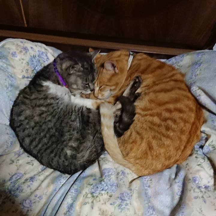 5c3ca855 13df 4b9a baae 2efb3ebe2f83 1588335746475