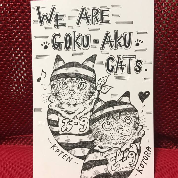 5c3cdf38 8549 4a21 b11e e71a392563cc 1573313929313