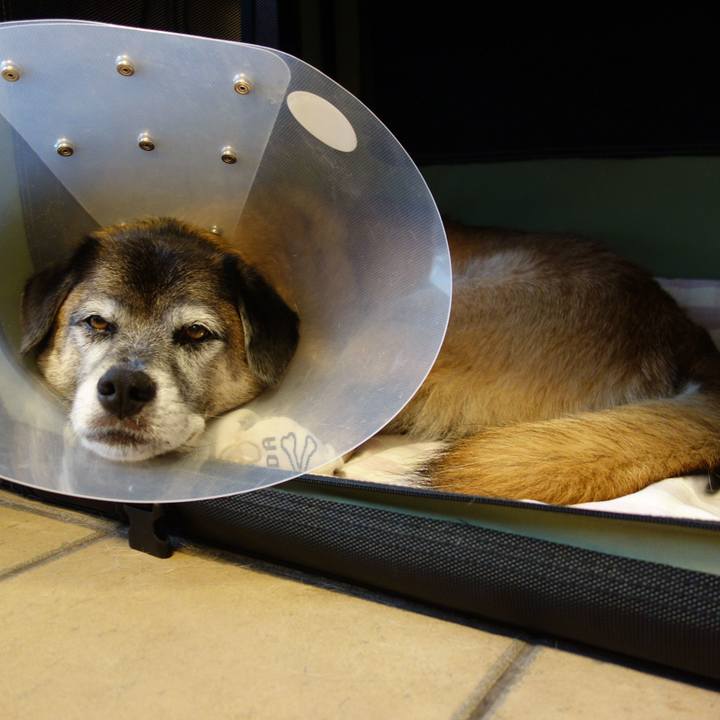 5c3cff72 2371 41fa a087 6782248cc14b 1646358386956