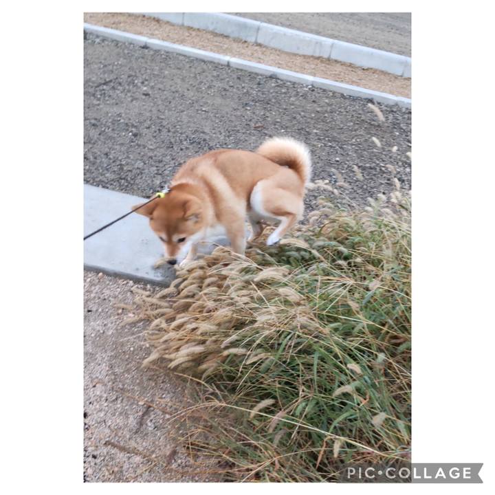 5c3d22ba 8f56 4b35 924c cbe762dda8d7 1698446663294