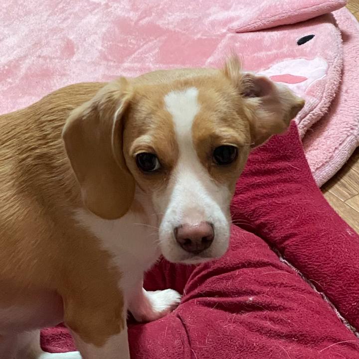 5c3d2d9c e3c2 48f5 b66e 790dc95937ce 1583243673371