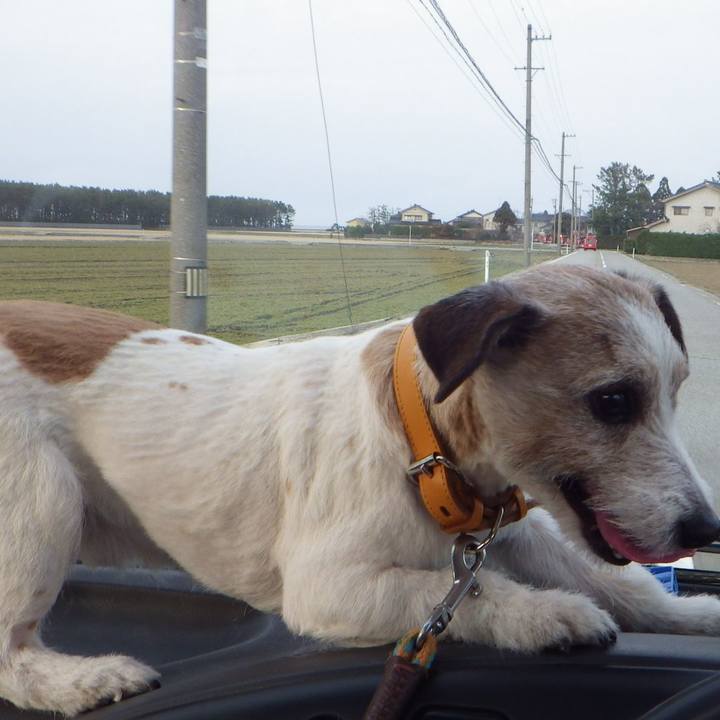 5c3db93a cd3a 450a bd6e b097d0a30bfd 1553151668584