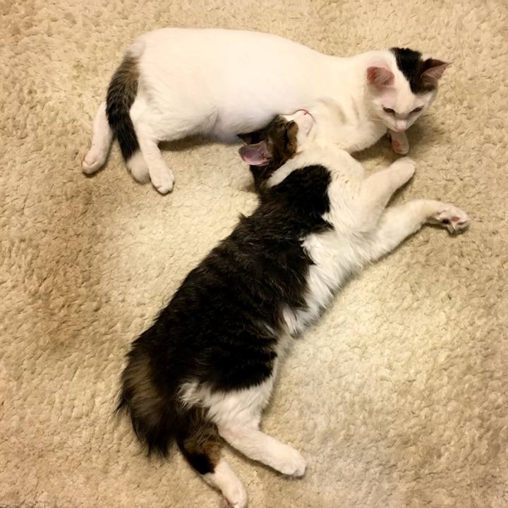 5c3de343 96e4 4c87 adf3 c8c84439b414 1668814569120