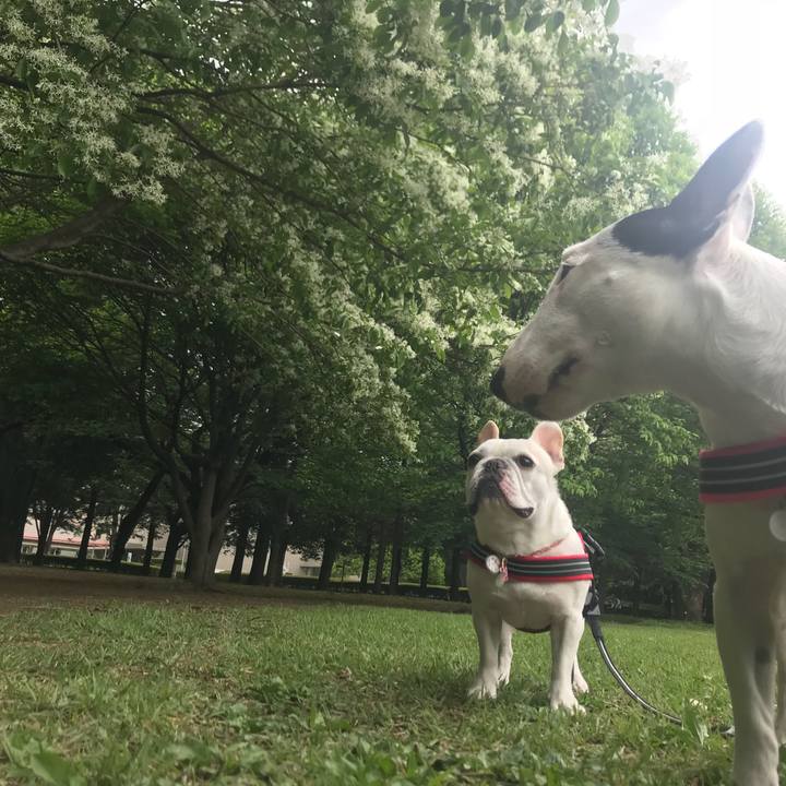 5c3e0af6 650a 43ab 9c98 70b3ac208843 1524644197068