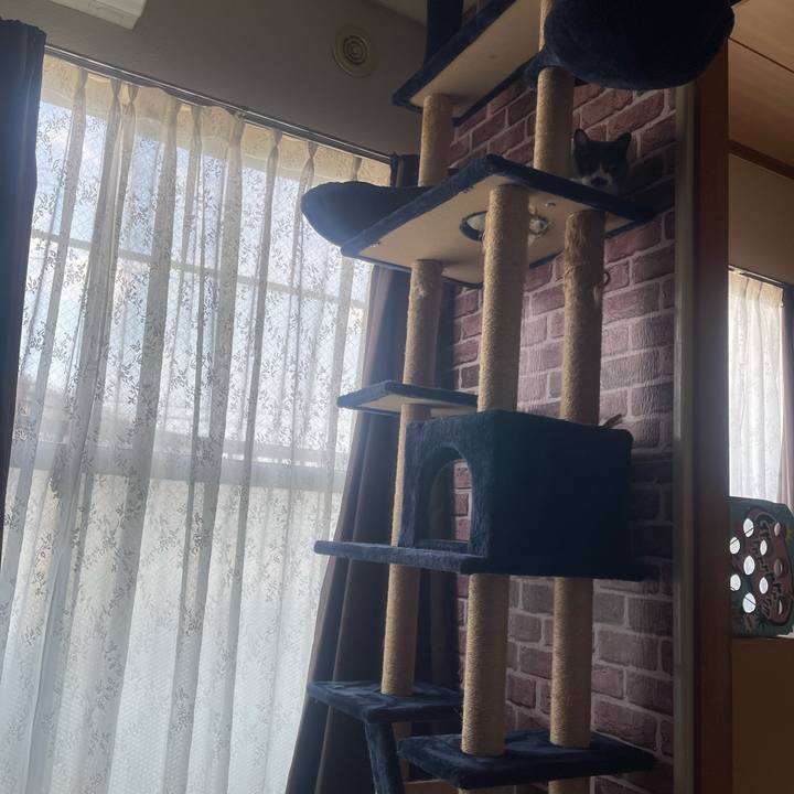 5c3e3186 1d8c 4b3d 95c0 dba6aaeb5a6f 1723446890760