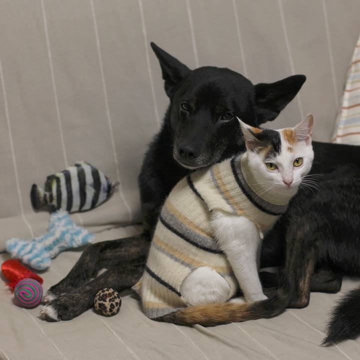 5c3e3d87 0d38 4368 abdd 8b0b327ba4af 1549024496125