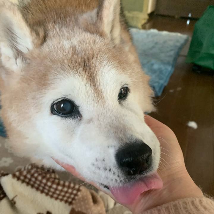 5c3e4df1 779f 4464 b441 beb09b85bb73 1674378129256