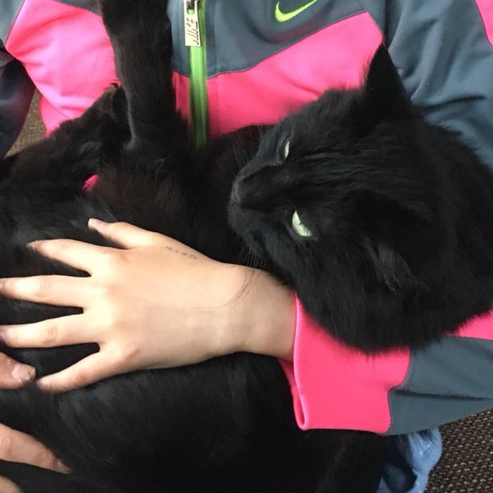 5c3e54c0 0b04 47ea b342 e288196ffffc 1527764189194