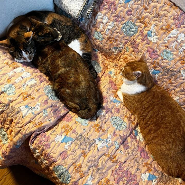 5c3e6a89 c993 42de bf21 076f14f9dfee 1707292822359