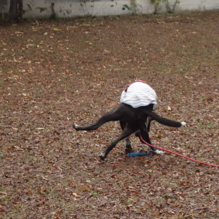 5c3e88b1 d1c3 4797 a3a4 ebc2e538615c 1701736994024