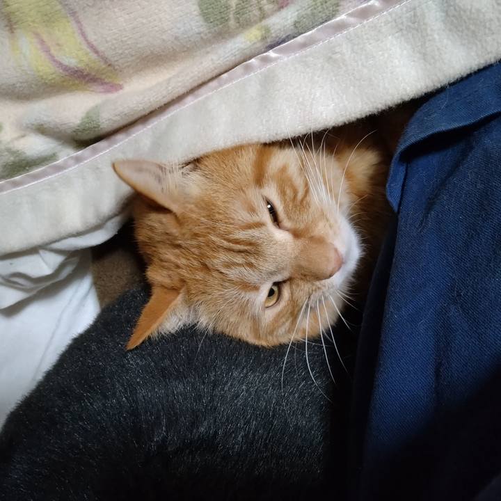 5c3e98cc 62b7 4488 9091 8e3ed58f9b06 1678106649094