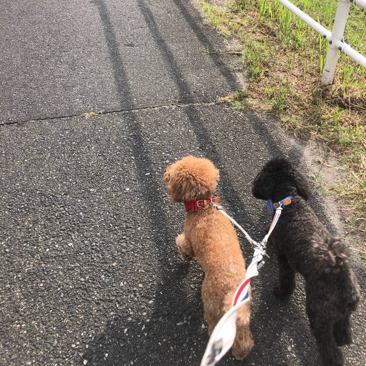 5c3ea908 c495 4e8c 841a 44f4f0fd6407 1596669796108