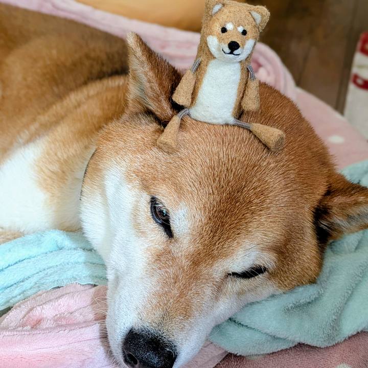 5c3eba36 8f57 41a7 971a e94632ef8c3e 1744844220395