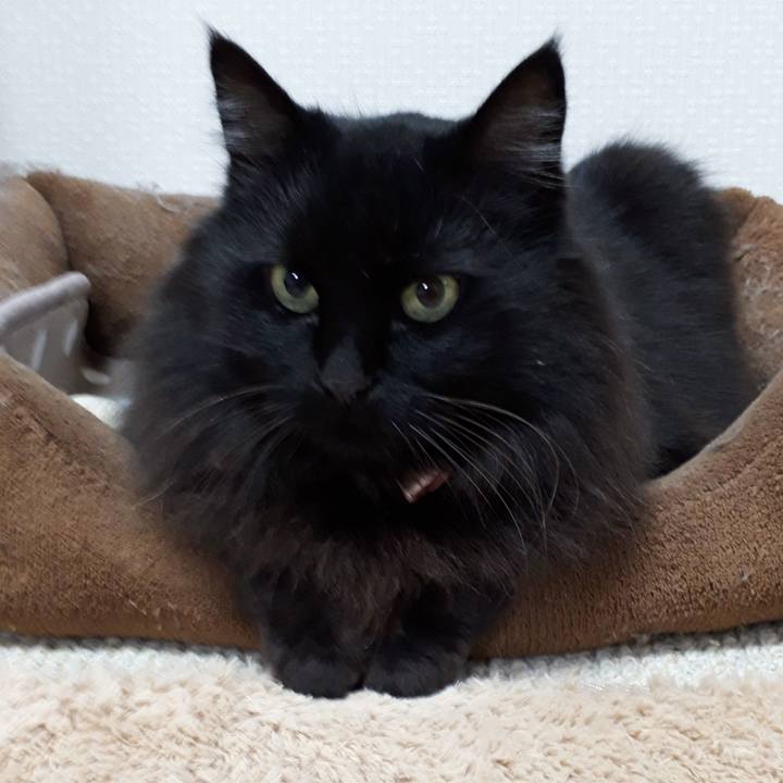 5c3ec1ac 7dc9 4620 a5cb 7d6beb8bc6af 1520194819580