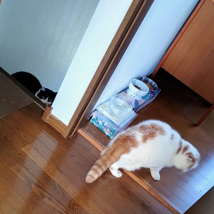 5c3ef6c8 7dba 46aa 8f8b 680ff0da93cd 1770163227216