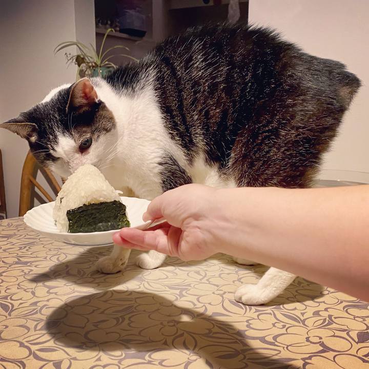 5c3efb49 833d 4902 84e4 63ca64dc6d12 1600776689197