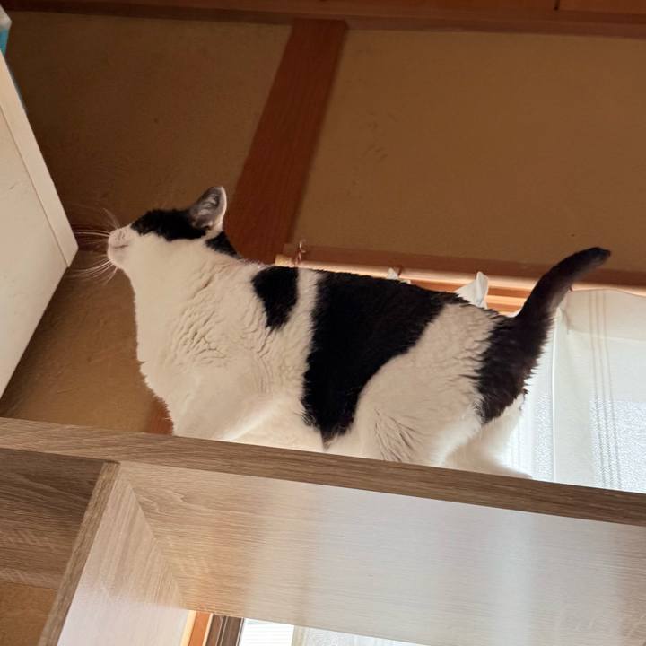 5c3f0354 b3a2 4e94 ae54 6a30d88e09e2 1744771691696