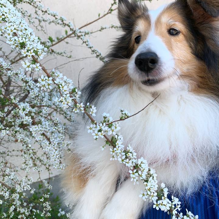 5c3f1f56 085c 42d7 9dd7 0adf512b9bde 1763370081708