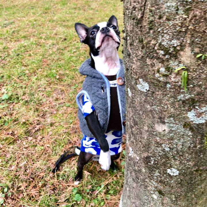 5c3f6a25 7466 4ad2 bbac 49431c1798f4 1515570380739