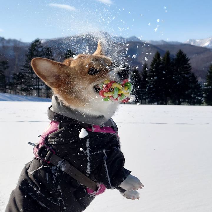 5c3f774e 66d2 47fc bc32 be50f7c7d9ea 1770431590266