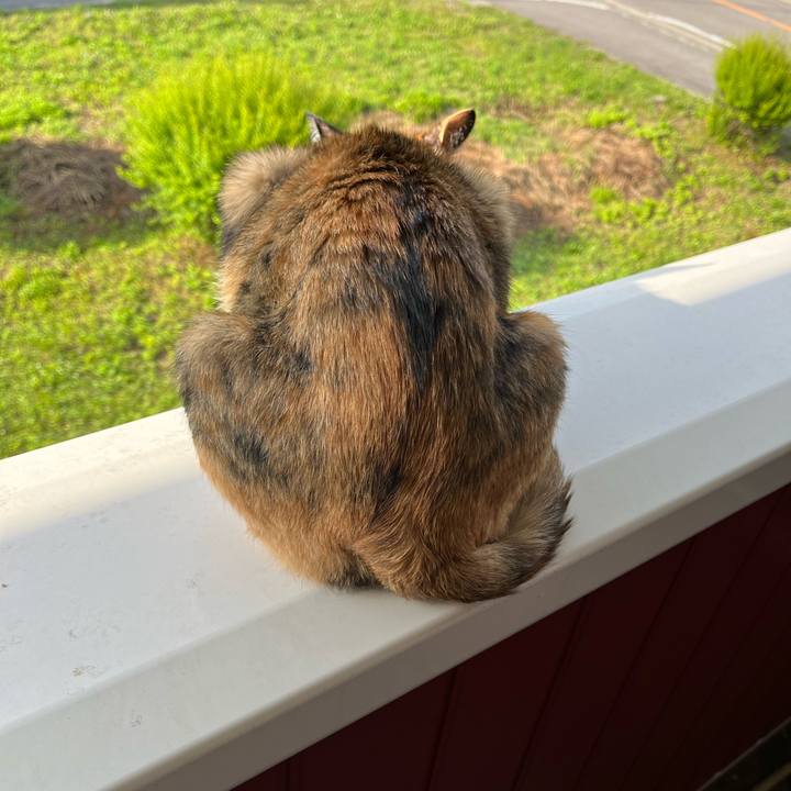 5c3f8178 00cd 4cfa a4b9 e0cf848b0e52 1655084090540