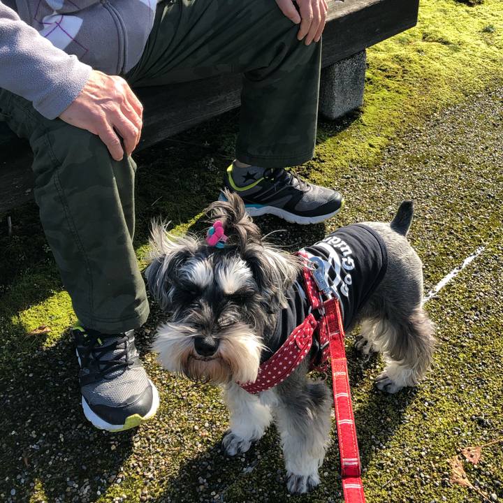 5c3f8b3f 97a5 46d3 959c 7c07d0696afc 1547904792233