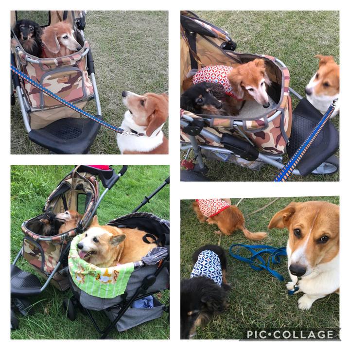 5c3fe21f fcf6 4089 8db7 89e1ff352fb2 1601732095644