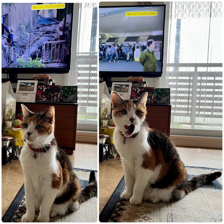 5c3ff04e c1fc 4a15 a757 724b8be1dd8f 1686262111874