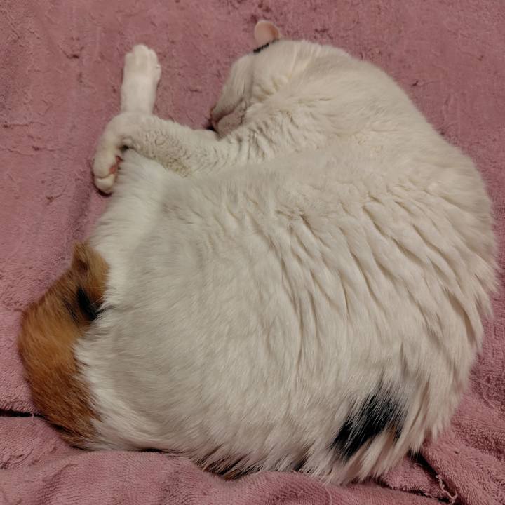 5c3ff32b e90a 4456 990e 27b6464b03f5 1728053038594